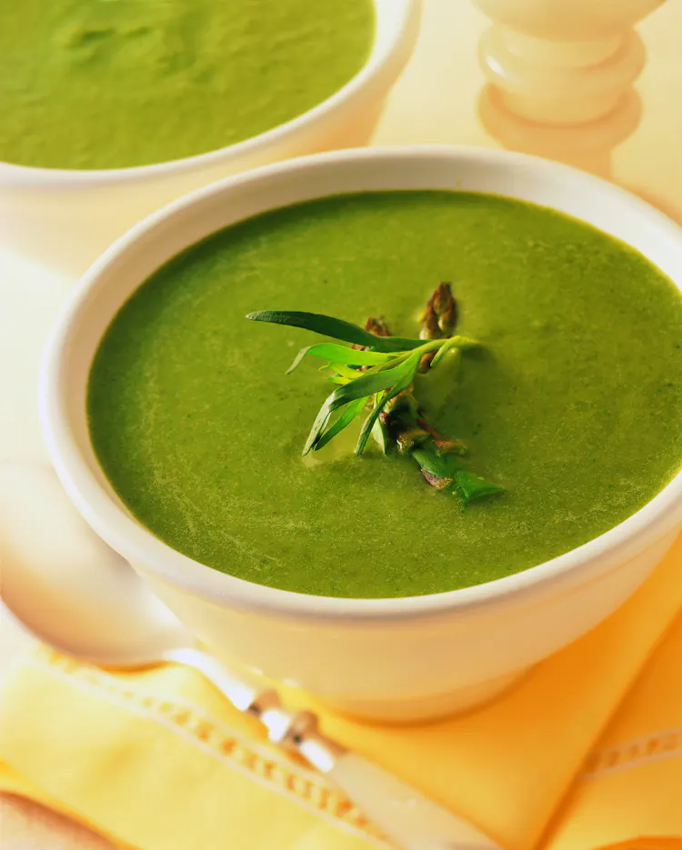 Grilled Asparagus Soup | Starters Recipes