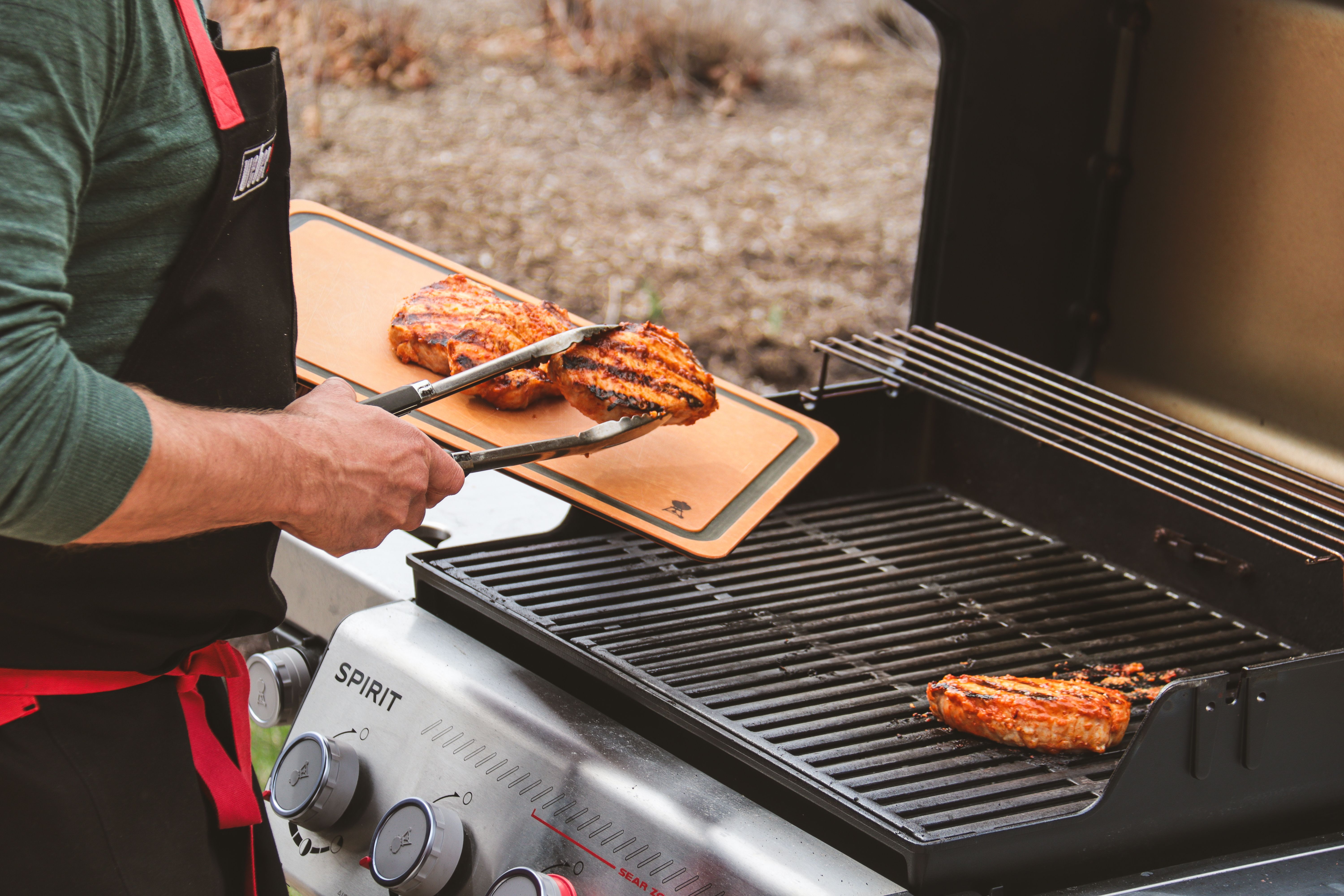 Chipotle Citrus Pork Chops 