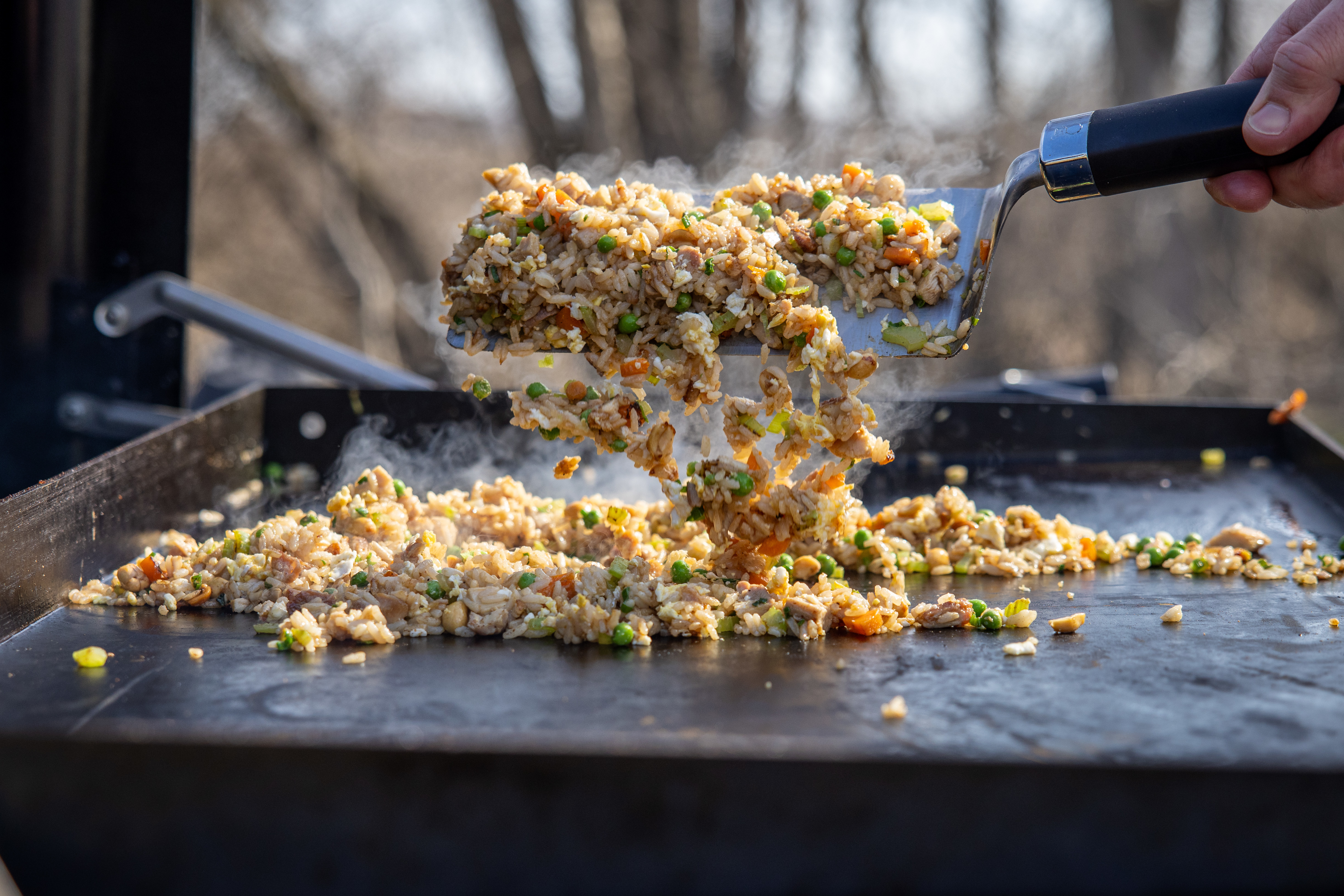 Easy Chicken Fried Rice 