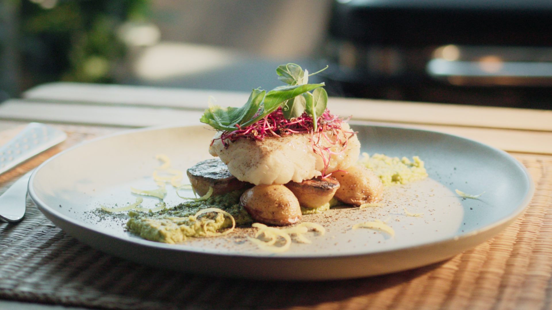 Lumin White Fish V01 Us