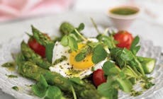 Asparagus With Egg Rt Extend 346X318