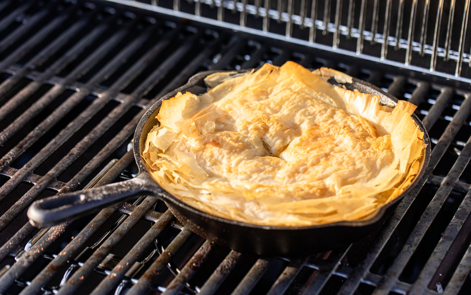 Turkey Pot Pie 20231124 E82 A5516 1