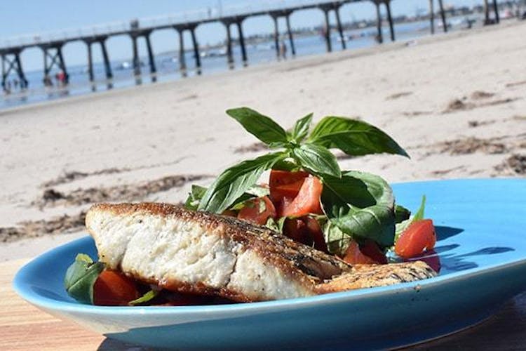 Crispy Skin Barramundi  with Tomato Salsa