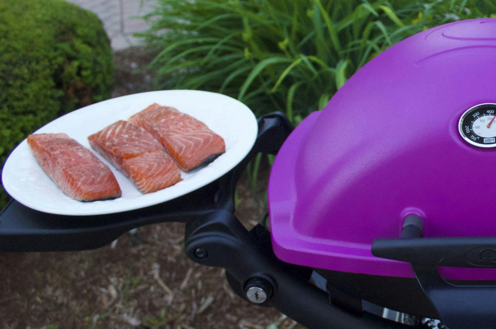 Salmon and Weber Q 1200