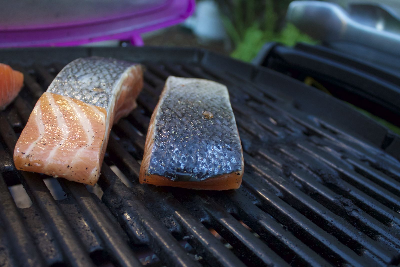 Salmon on Weber Q 1200 Cooking Grates