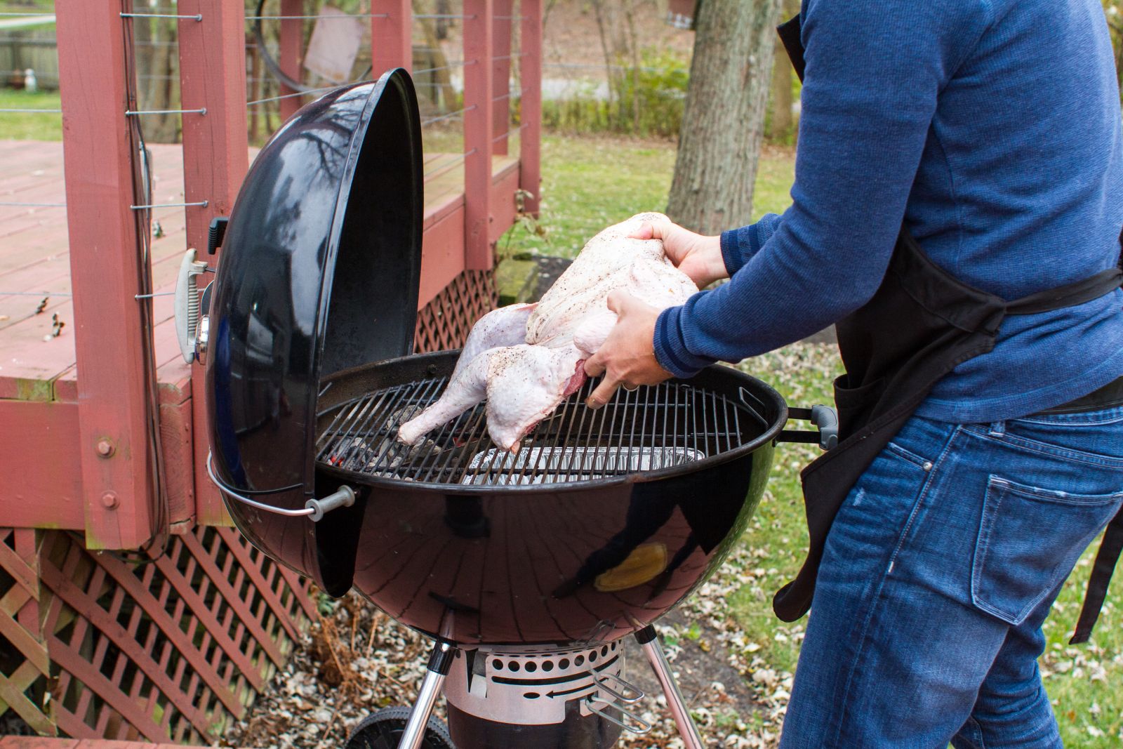 spatchcock turkey gas grill