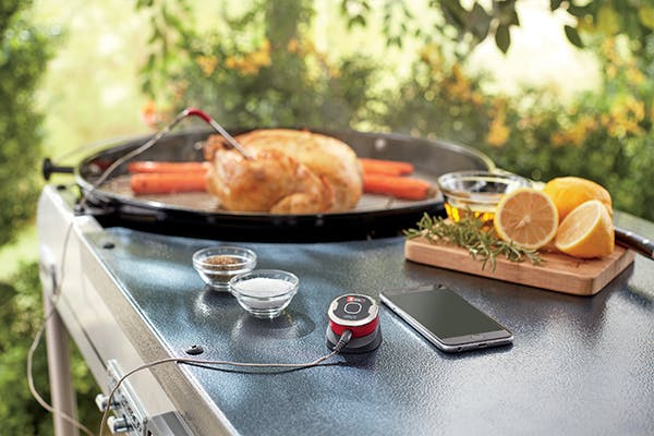iGrill 3 adapted to older gas Weber?